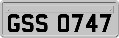 GSS0747