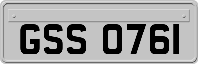 GSS0761