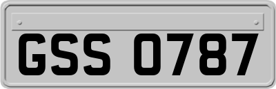 GSS0787