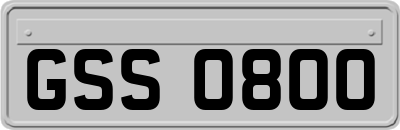GSS0800