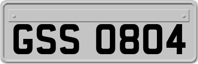 GSS0804