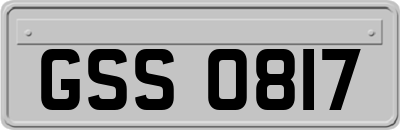 GSS0817