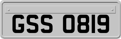 GSS0819