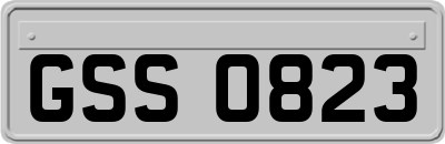 GSS0823