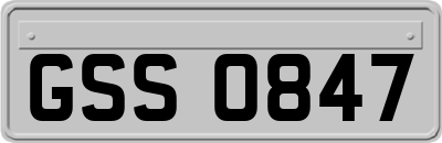 GSS0847