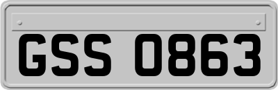 GSS0863