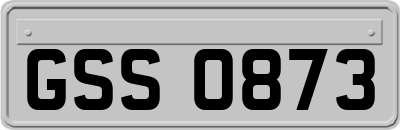 GSS0873