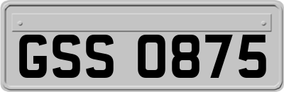 GSS0875