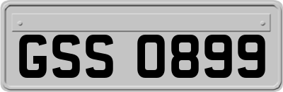 GSS0899
