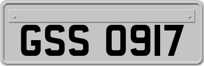 GSS0917