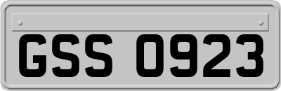 GSS0923