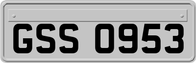 GSS0953