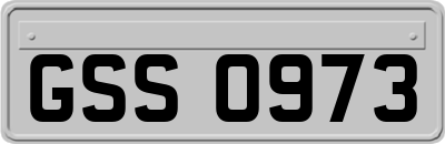 GSS0973