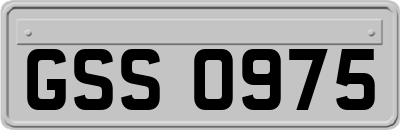 GSS0975
