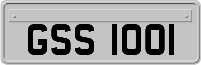 GSS1001