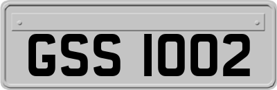 GSS1002