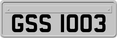 GSS1003