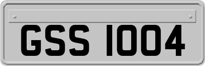 GSS1004