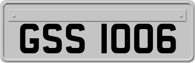 GSS1006