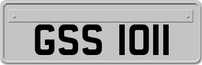 GSS1011