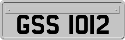 GSS1012