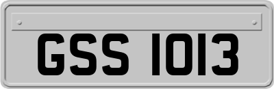 GSS1013