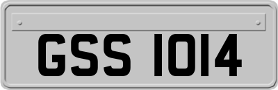 GSS1014