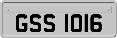 GSS1016