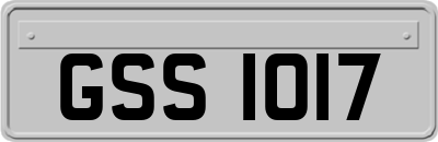 GSS1017