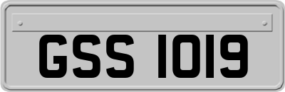 GSS1019