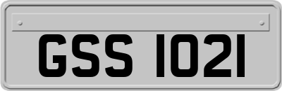 GSS1021