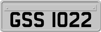 GSS1022