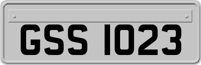 GSS1023