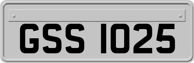 GSS1025