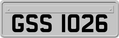 GSS1026