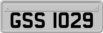 GSS1029