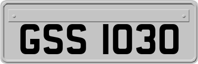GSS1030