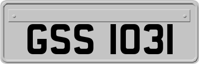 GSS1031