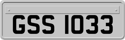 GSS1033
