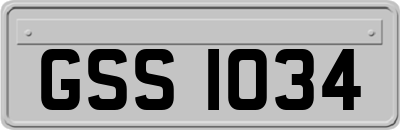 GSS1034