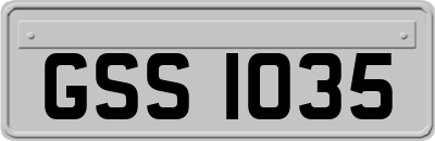 GSS1035