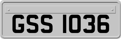 GSS1036
