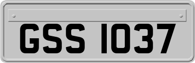 GSS1037