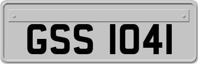 GSS1041
