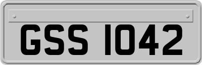 GSS1042