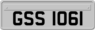 GSS1061