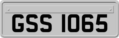 GSS1065