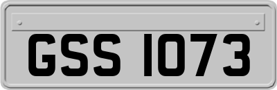 GSS1073