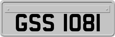 GSS1081