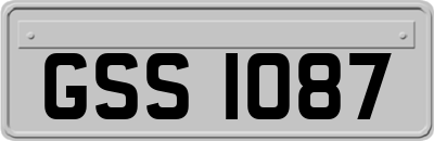 GSS1087